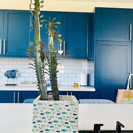 Villa The Blue House