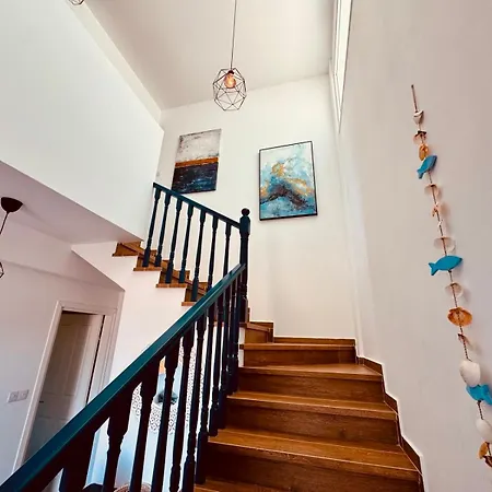 The Blue House