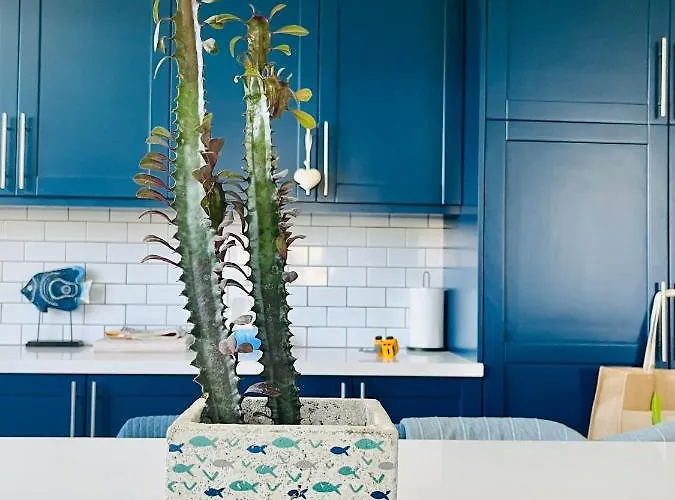 וילה The Blue House