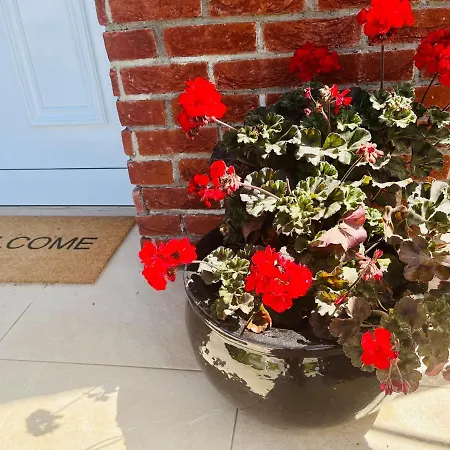 Вилла The Blue House